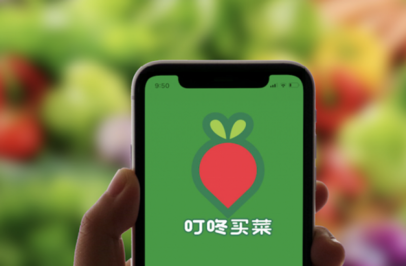 上海市场实现全面盈利，叮咚买菜战略调整初现成效“赚钱力”提升