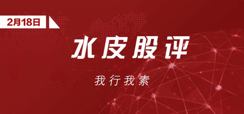 水皮：【谈股论金】我行我素