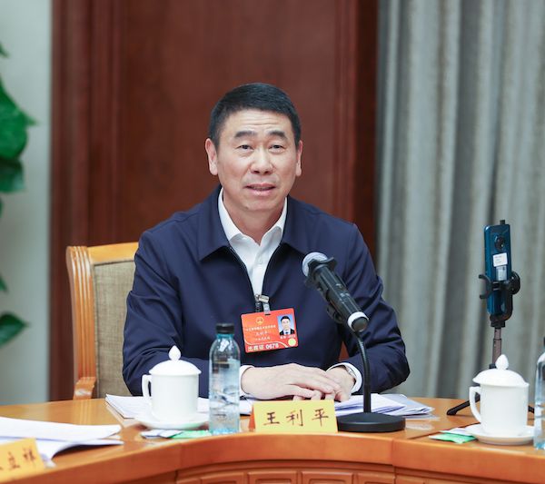 全国人大代表王利平：促进平台经济在民生领域规范有序发展