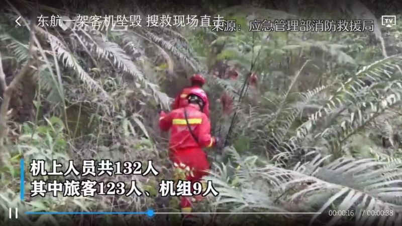 保险业启动I级响应应对东航客机坠毁事故 中国平安已接4起客户报案