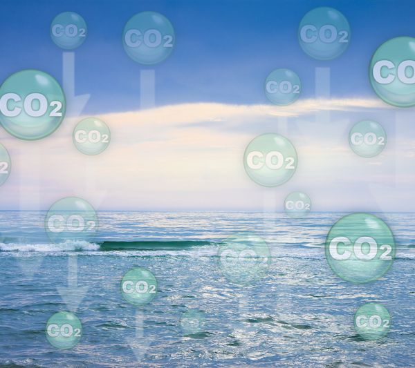 抢占海洋碳汇国际制高点!海南国际碳排放权交易中心预计下半年开业运营 抢占海洋碳汇国际制高点!海南国际碳排放权交易中心预计下半年开业运营