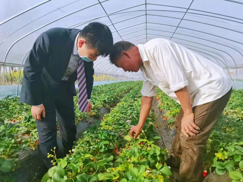 紫金农商银行:深耕“三农”金融服务 “活水”滋养乡村振兴 紫金农商银行:深耕“三农”金融服务 “活水”滋养乡村振兴