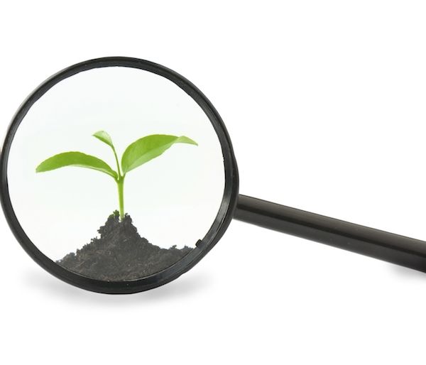 生态环境部：环保督察整改敷衍应对、弄虚作假将被曝光｜快讯