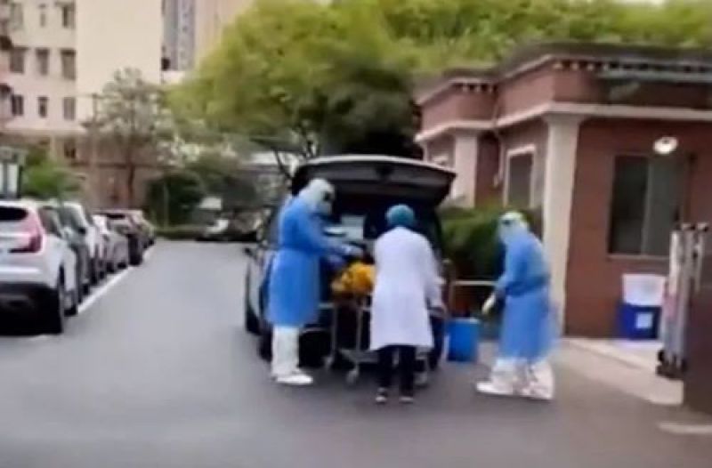 上海一福利院未死亡老人被拉走?官方回应:属实,调查组已介入|快讯 上海一福利院未死亡老人被拉走?官方回应:属实,调查组已介入|快讯
