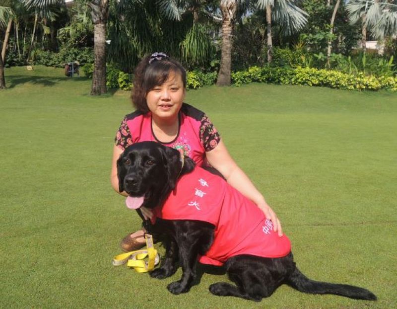 “导盲犬的朋友”陈燕:被误解的十年 “导盲犬的朋友”陈燕:被误解的十年
