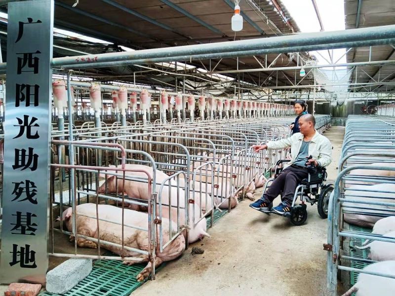 广西主动服务和融入新发展格局 推动新阶段残疾人事业实现高质量发展 广西主动服务和融入新发展格局 推动新阶段残疾人事业实现高质量发展