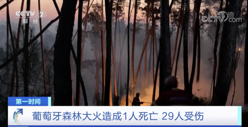 这国宣布：多地进入紧急状态！