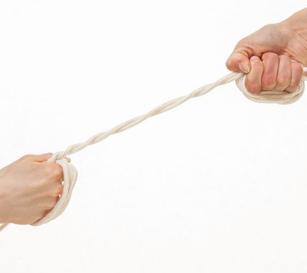超40%提价方案遭中小股东否决！“两兄弟”包钢股份、北方稀土为何出手自家人？