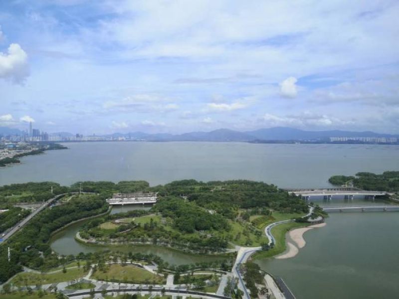 房价跌了企业保底，深圳有企业首推“青年人才共有房”，真的“稳赚不赔”吗？
