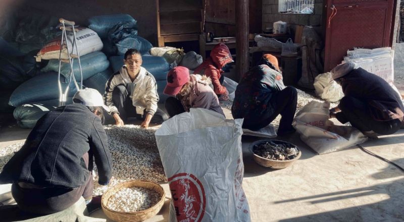 阿里巴巴发布年度助残行动报告，支持数十万残疾人创业、就业｜快讯