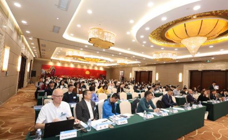 2023年,公益组织“勒紧裤腰”过日子 2023年,公益组织“勒紧裤腰”过日子