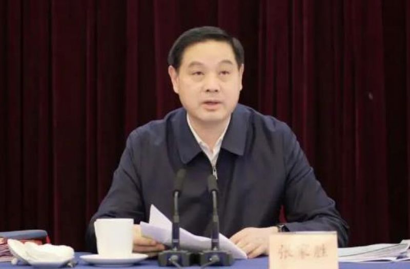 张家胜履新 张家胜履新