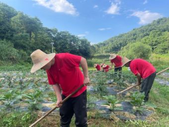 七部委共同推进巩固拓展脱贫攻坚成果同乡村振兴有效衔接工作 七部委共同推进巩固拓展脱贫攻坚成果同乡村振兴有效衔接工作