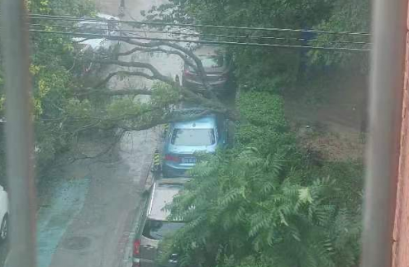“我们到处跑去看现场”,暴雨后保险人跑保险,已赔付超5万件 “我们到处跑去看现场”,暴雨后保险人跑保险,已赔付超5万件