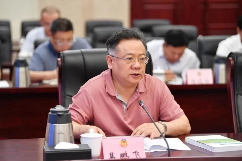 又打一“虎”！大搞“家族式”腐败，易鹏飞被逮捕