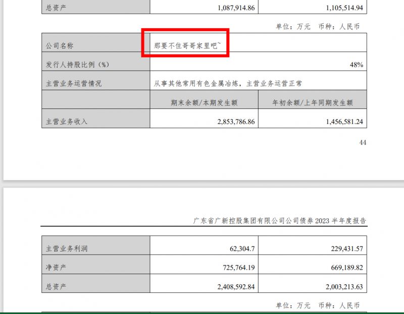 重大差错!子公司名称惊现“住哥哥家”,广新控股紧急回应:系中介机构操作错误 重大差错!子公司名称惊现“住哥哥家”,广新控股紧急回应:系中介机构操作错误
