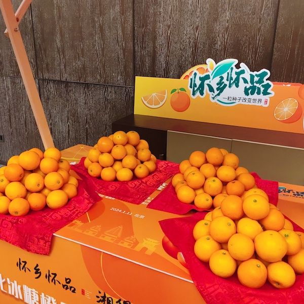 小橙子变大产业!农业发展进入品牌时代,助推乡村产业振兴 小橙子变大产业!农业发展进入品牌时代,助推乡村产业振兴