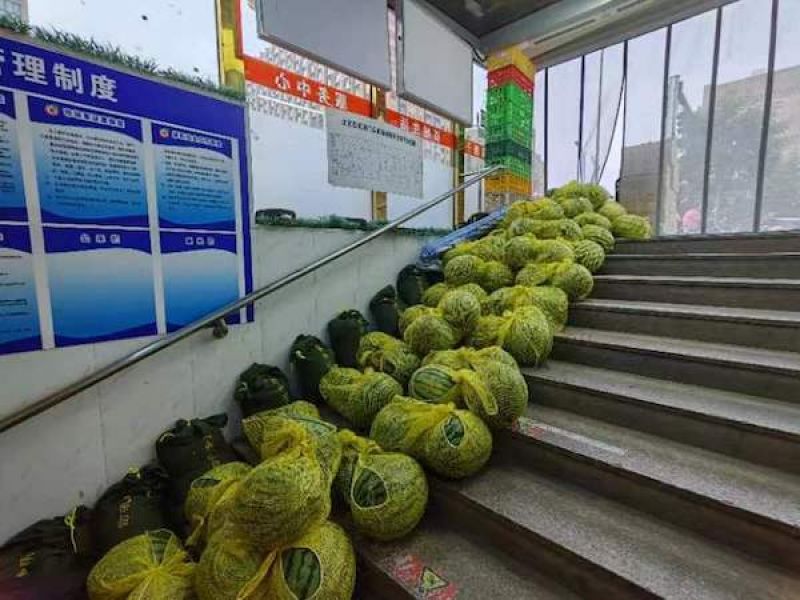 “今年西瓜实在太多了”!南北西瓜一起上市,产地甚至跌至三毛一斤 “今年西瓜实在太多了”!南北西瓜一起上市,产地甚至跌至三毛一斤