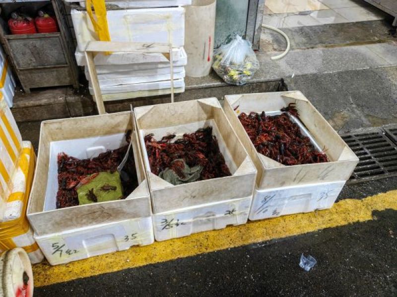 “卖虾的多,买虾的少!”记者实探:一周涨价20%,小龙虾价格触底反弹了? “卖虾的多,买虾的少!”记者实探:一周涨价20%,小龙虾价格触底反弹了?