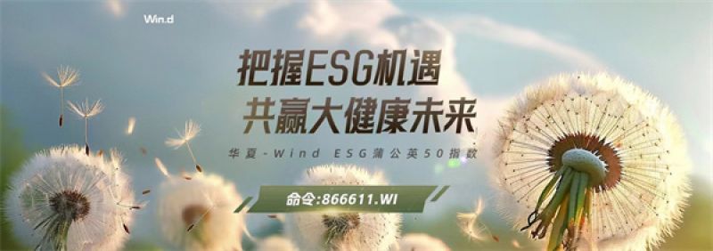 蒲公英50指数背后的故事:首只以ESG为主题的大健康产业指数是怎么诞生的 蒲公英50指数背后的故事:首只以ESG为主题的大健康产业指数是怎么诞生的