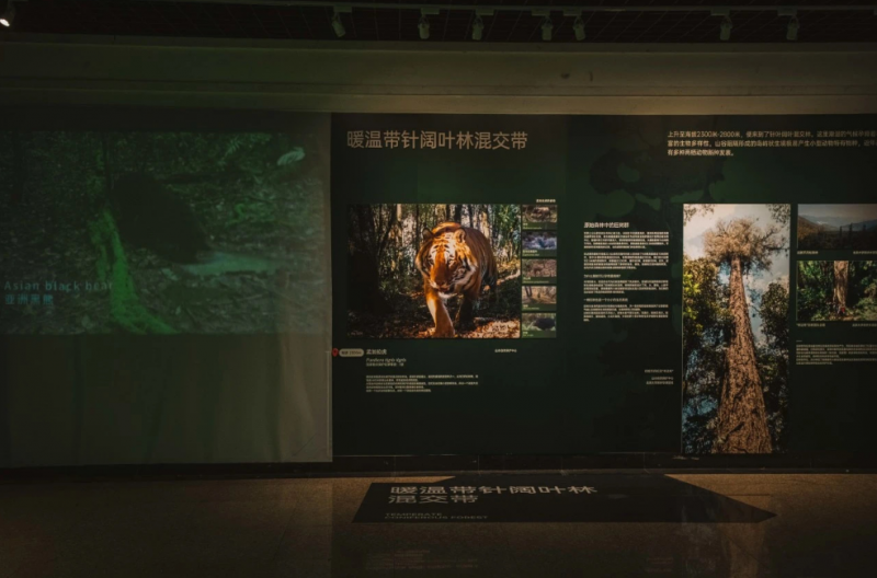 推墨脱生物多样性与文化公益展,中金公益助力生态保护“升级” 推墨脱生物多样性与文化公益展,中金公益助力生态保护“升级”