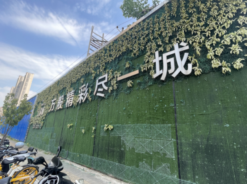 债主成了“白武士” ，合肥最大烂尾楼复活在即，记者实探：宝能城仍处停工状态