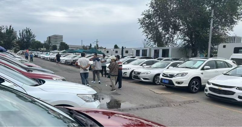 政策红利与消费者需求双轮驱动  二手车渐趋热销