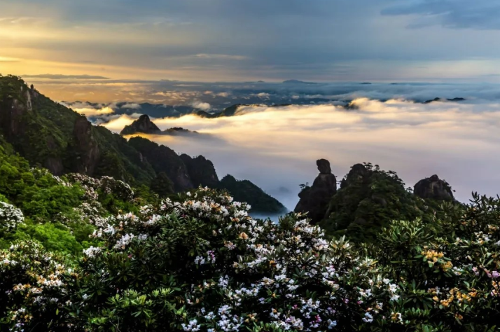 微信截图_20221105122403.png