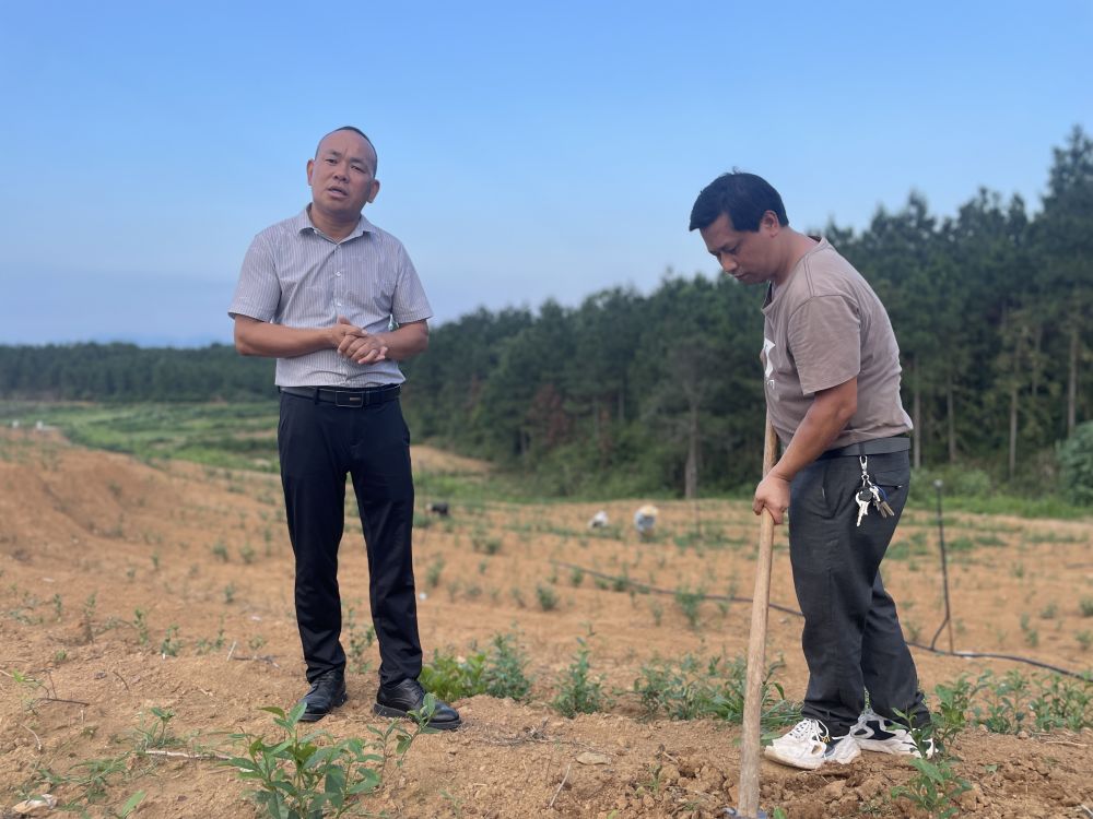 袁正九（左）与袁华平（右）在茶场。.jpg