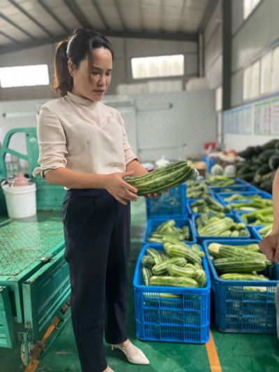 杨巧云给记者展示基地里刚刚收上来的菜瓜。.jpg