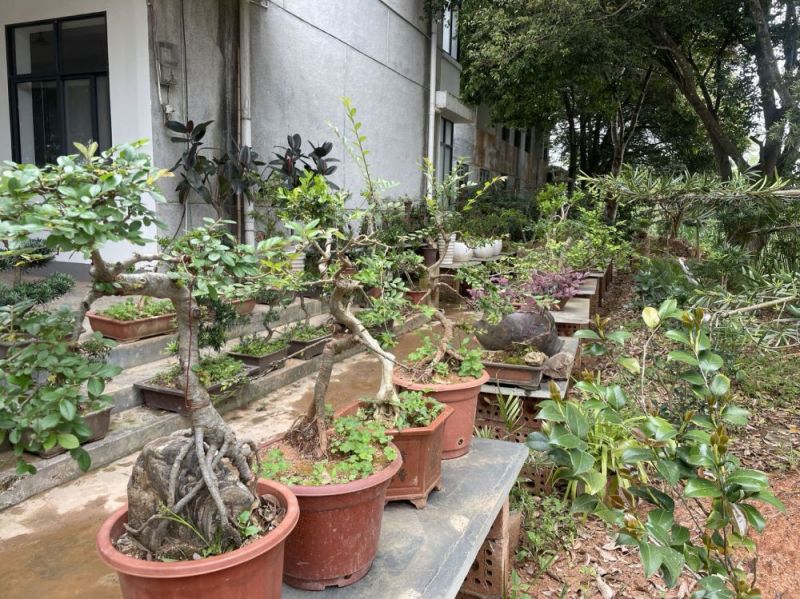 刘阳鑫种植基地的一角.jpg