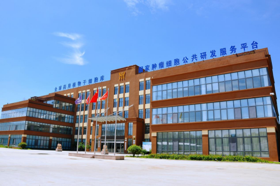 图片 5.png